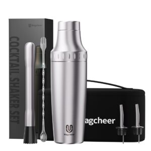 Vacuum Insulated Stainless Steel cocktail shaker set